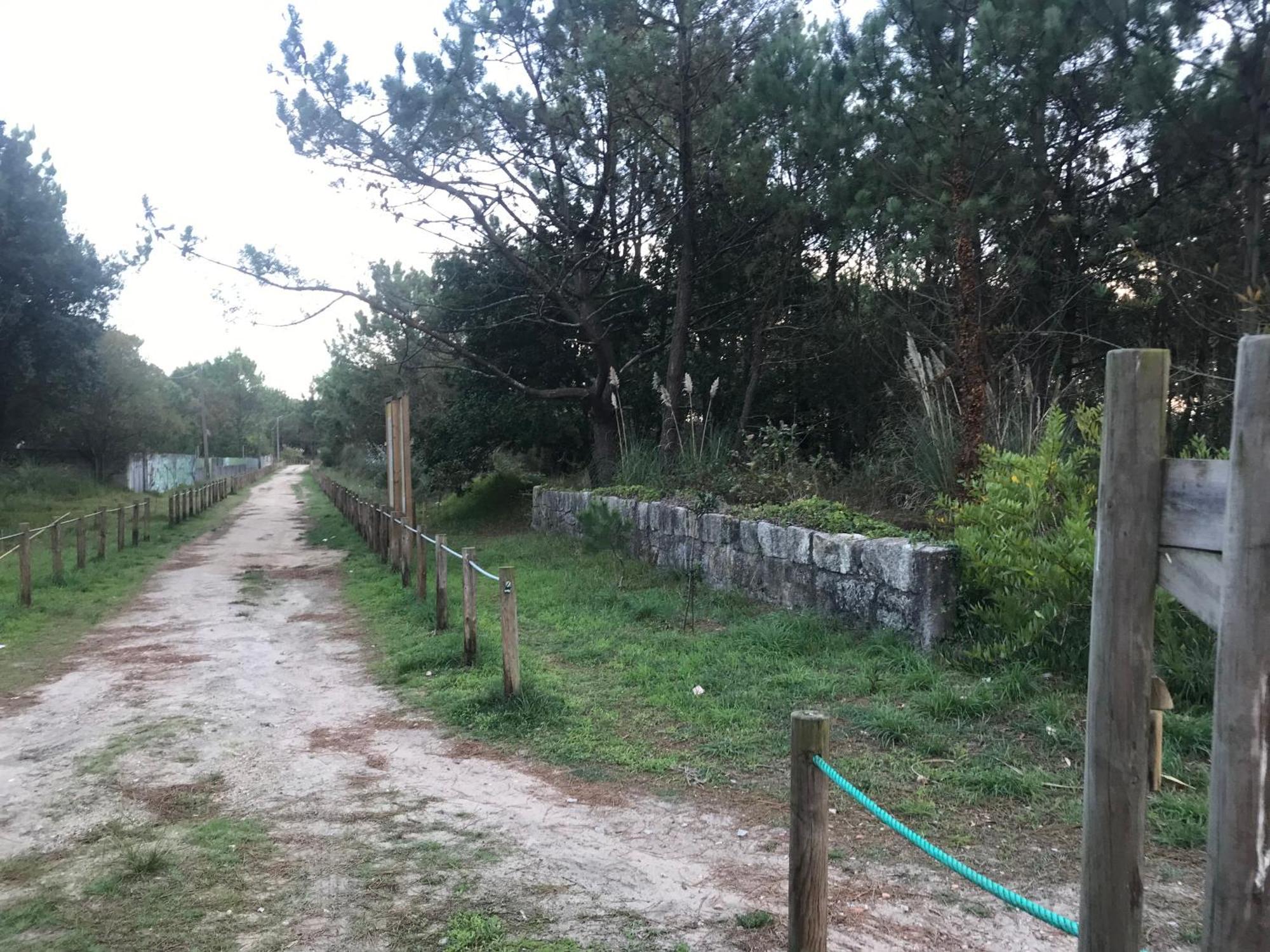 Arvore Cozy Com Jardim Екстериор снимка